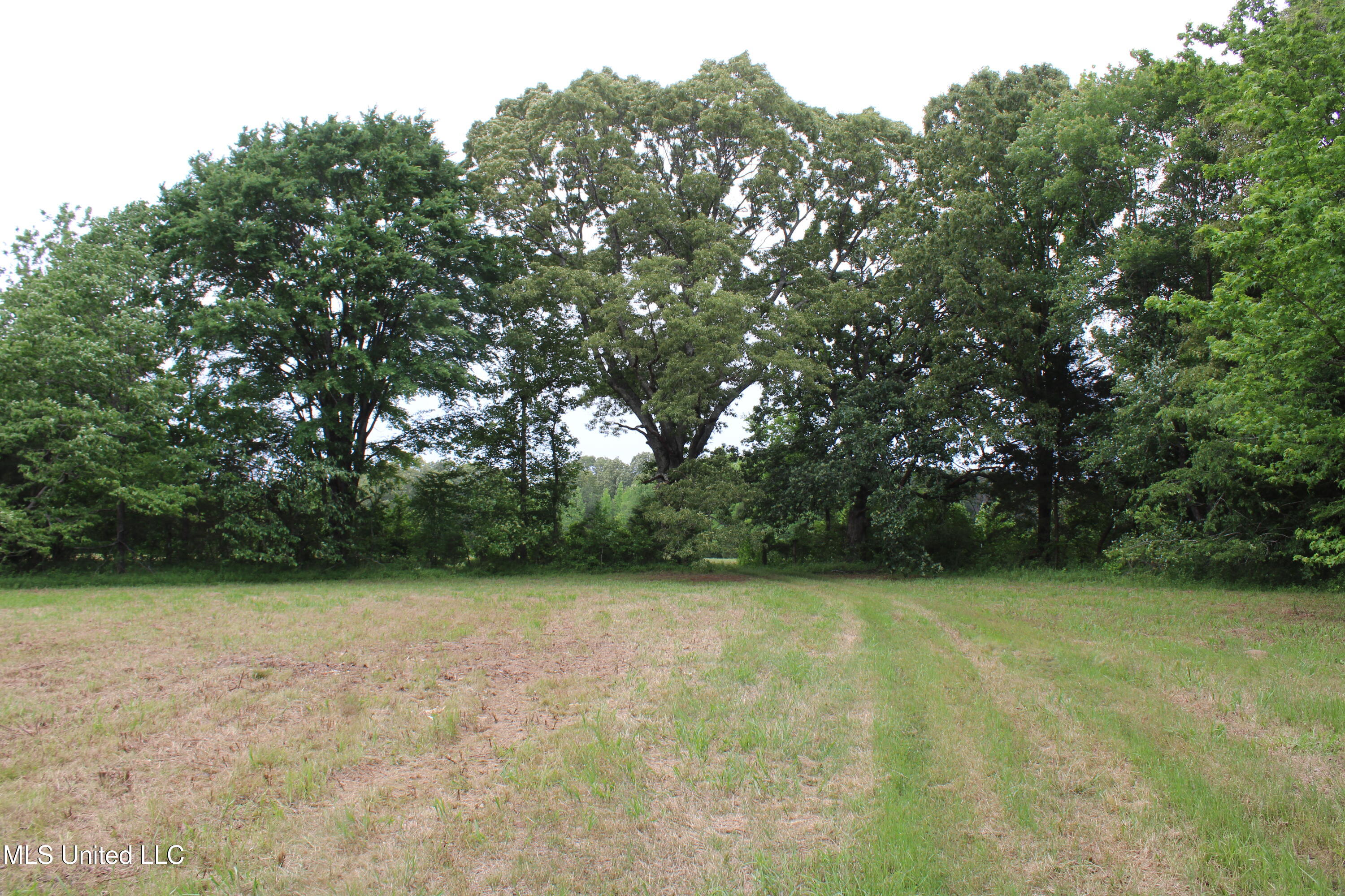 656 Sunset Drive Coldwater, MS 38618 - Photo 38 of 41 IMG_6135