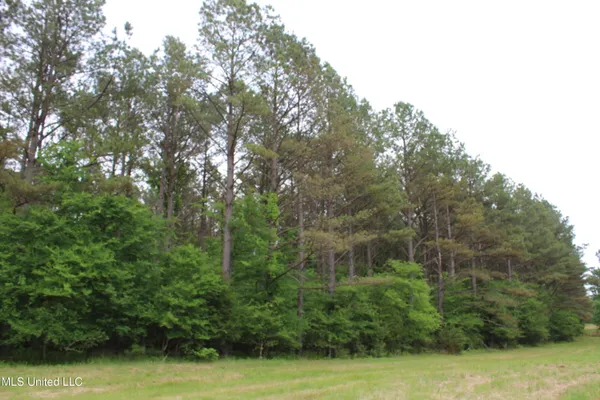 $640,500 | 656 Sunset Drive, Coldwater, MS 38618