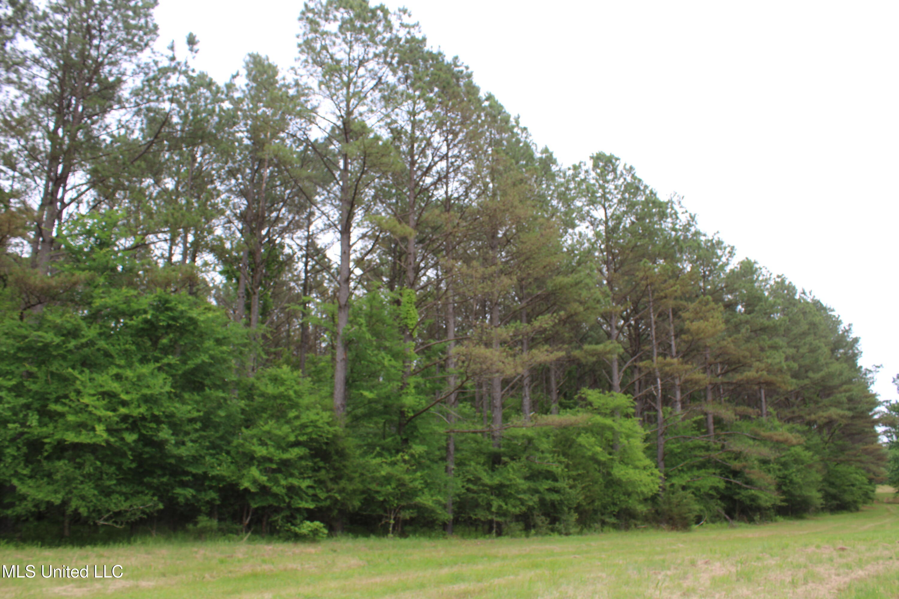 656 Sunset Drive Coldwater, MS 38618 - Photo 39 of 41 IMG_6136