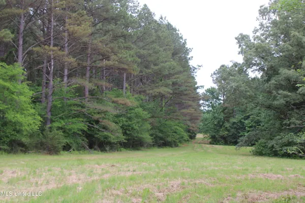 $640,500 | 656 Sunset Drive, Coldwater, MS 38618