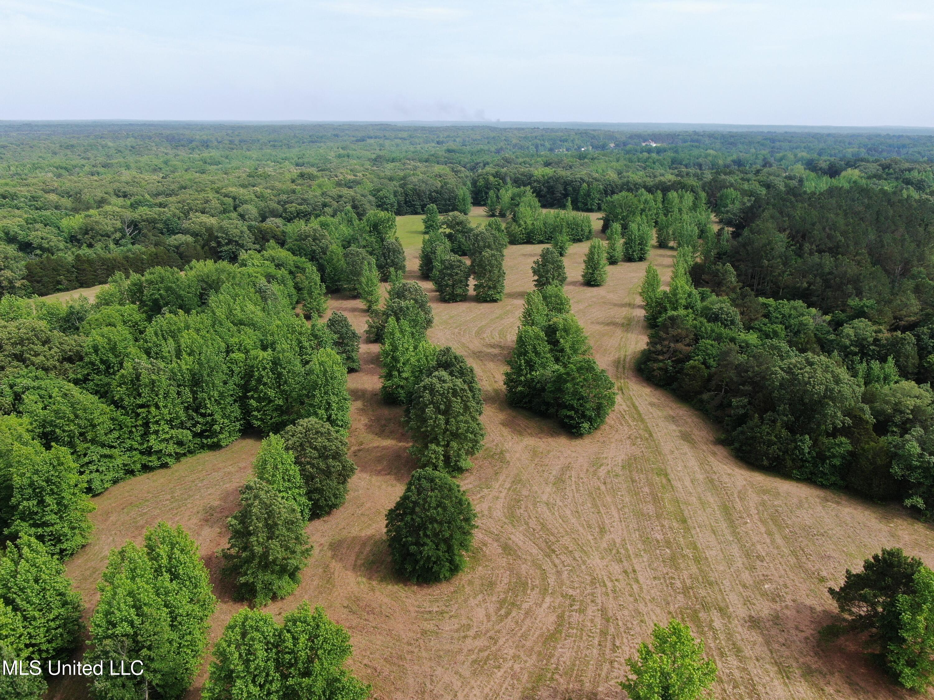 656 Sunset Drive Coldwater, MS 38618 - Photo 4 of 41 DJI_0579