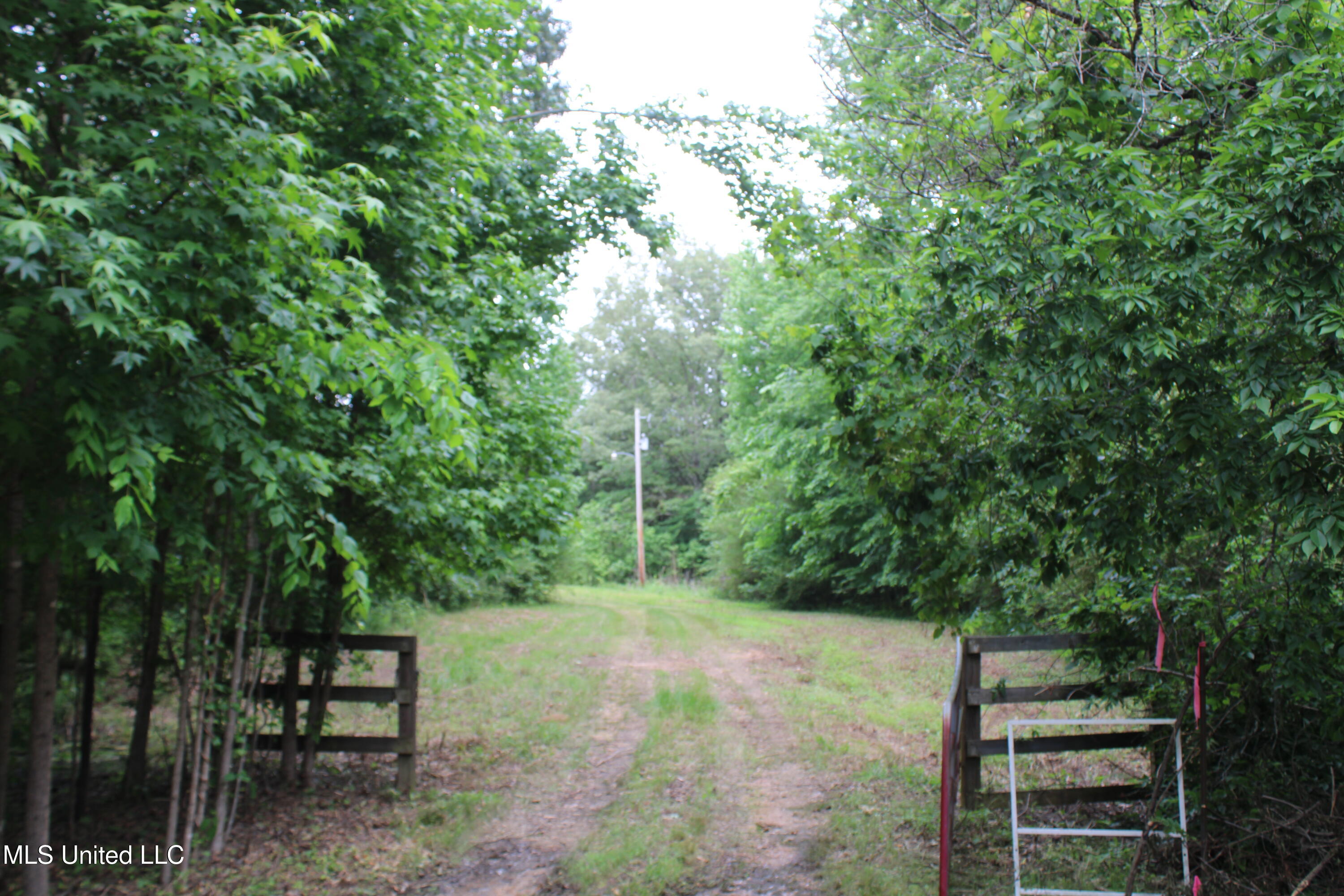 656 Sunset Drive Coldwater, MS 38618 - Photo 41 of 41 IMG_6138