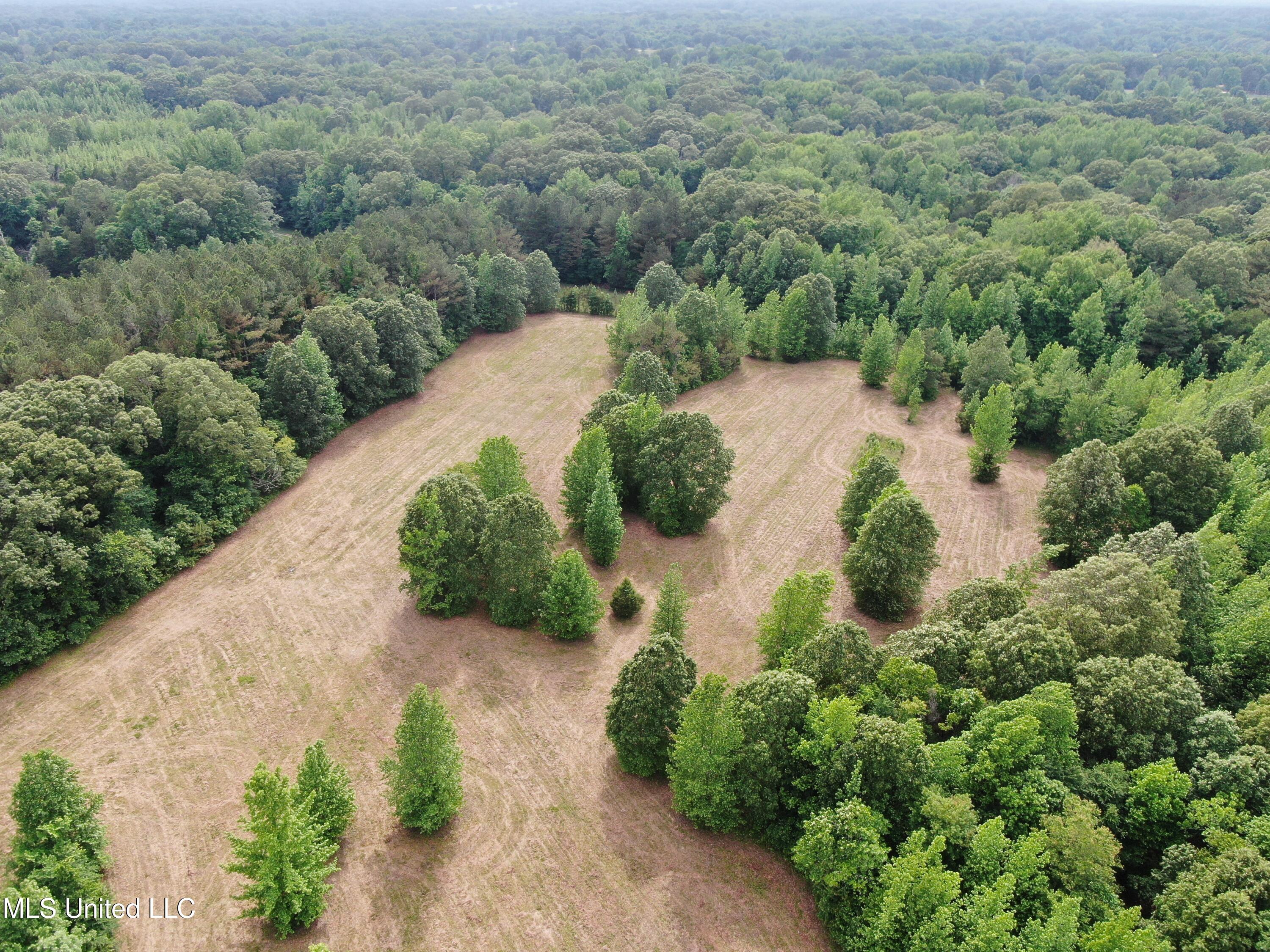 656 Sunset Drive Coldwater, MS 38618 - Photo 5 of 41 DJI_0580