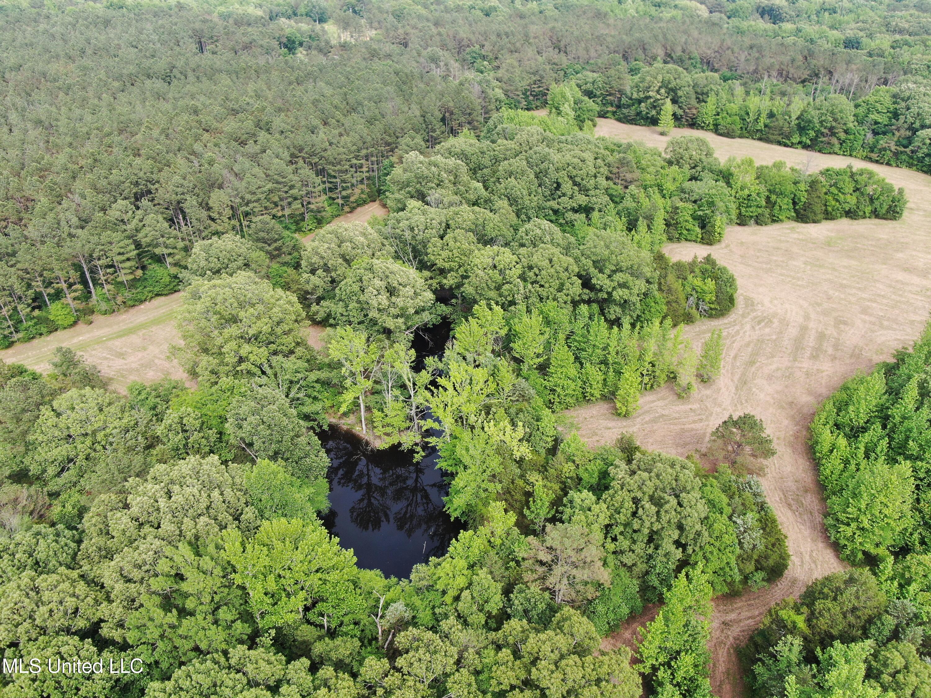 656 Sunset Drive Coldwater, MS 38618 - Photo 6 of 41 DJI_0581