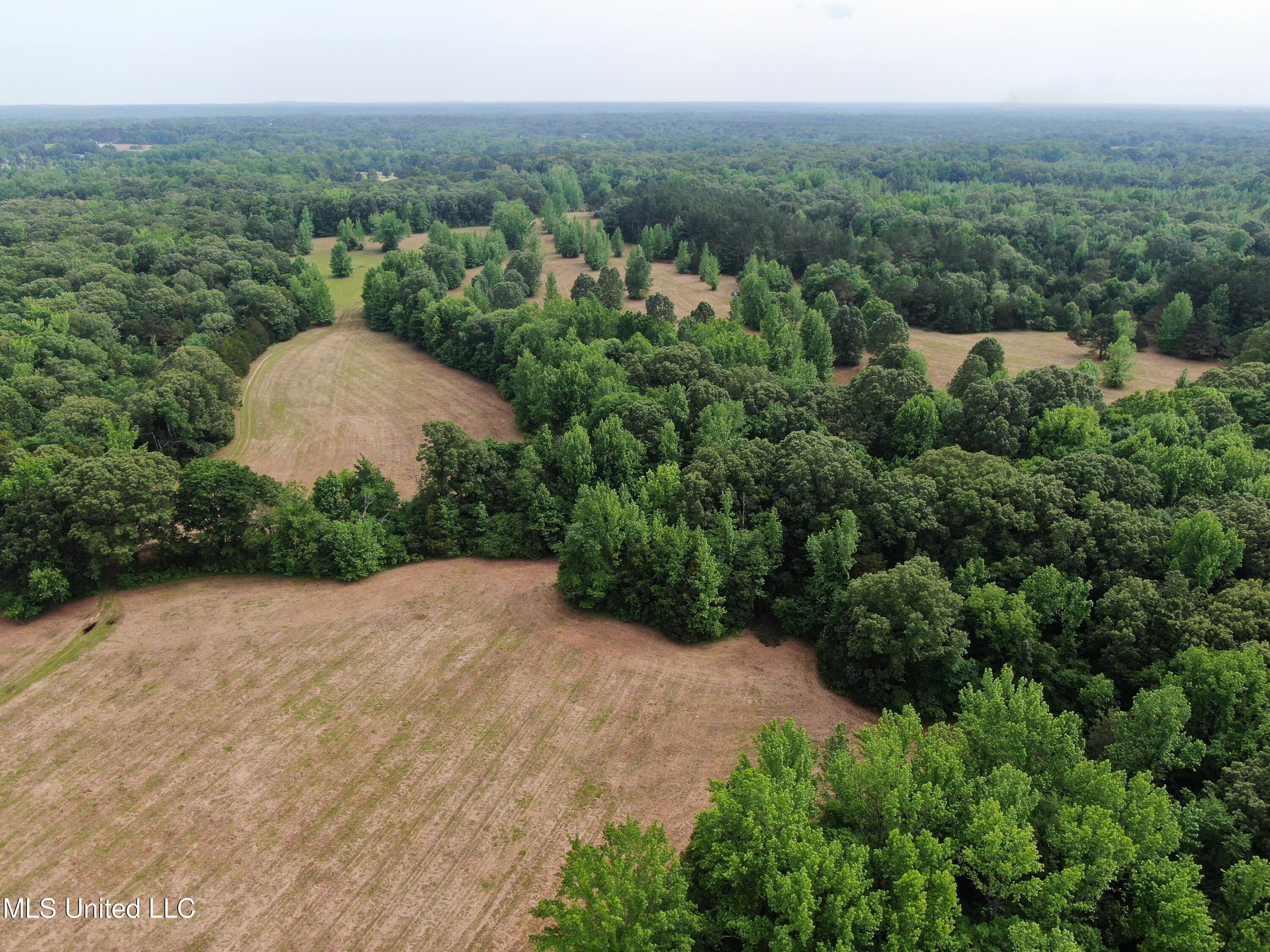656 Sunset Drive Coldwater, MS 38618 - Photo 8 of 41 DJI_0584