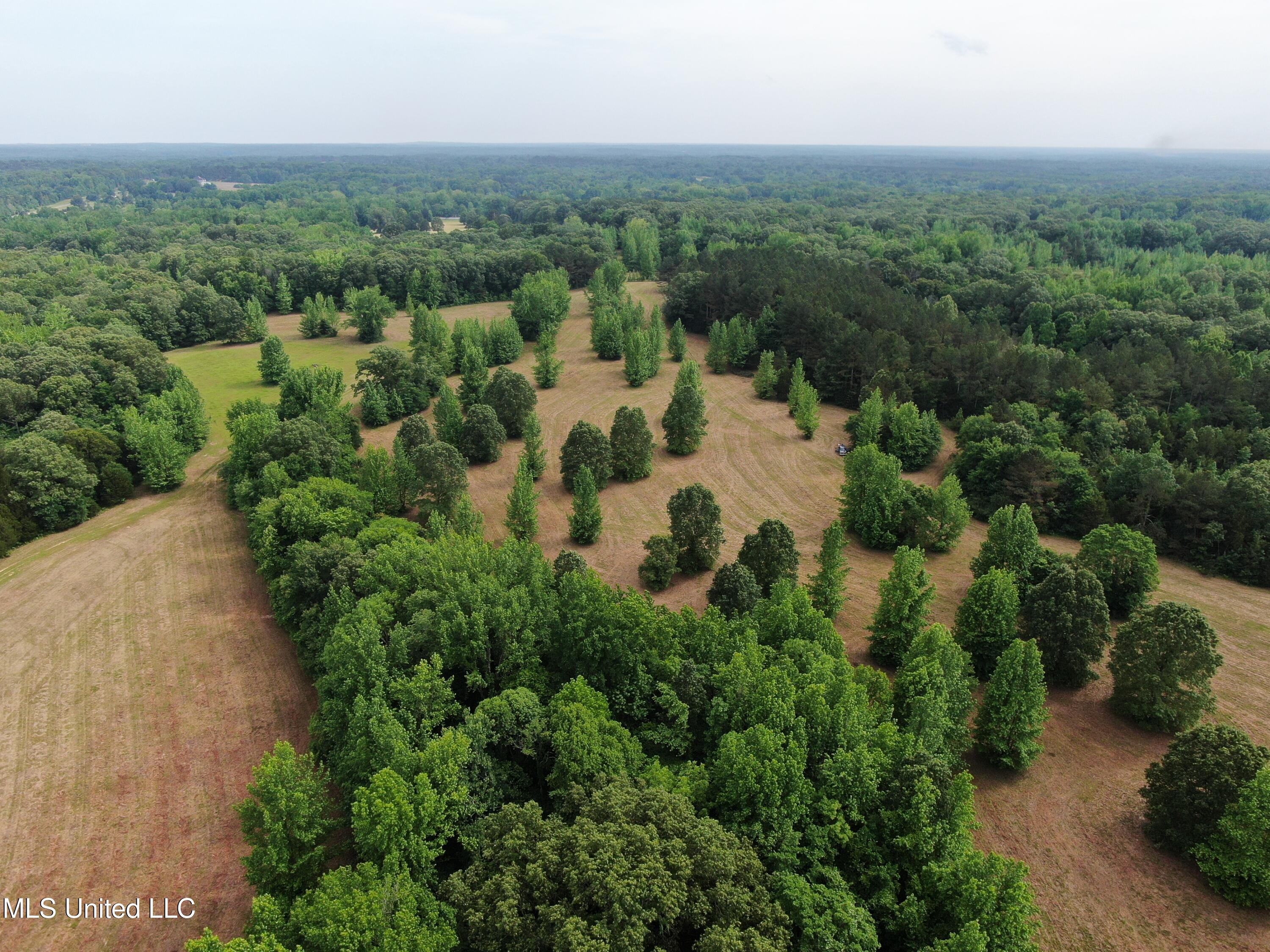 656 Sunset Drive Coldwater, MS 38618 - Photo 10 of 41 DJI_0586