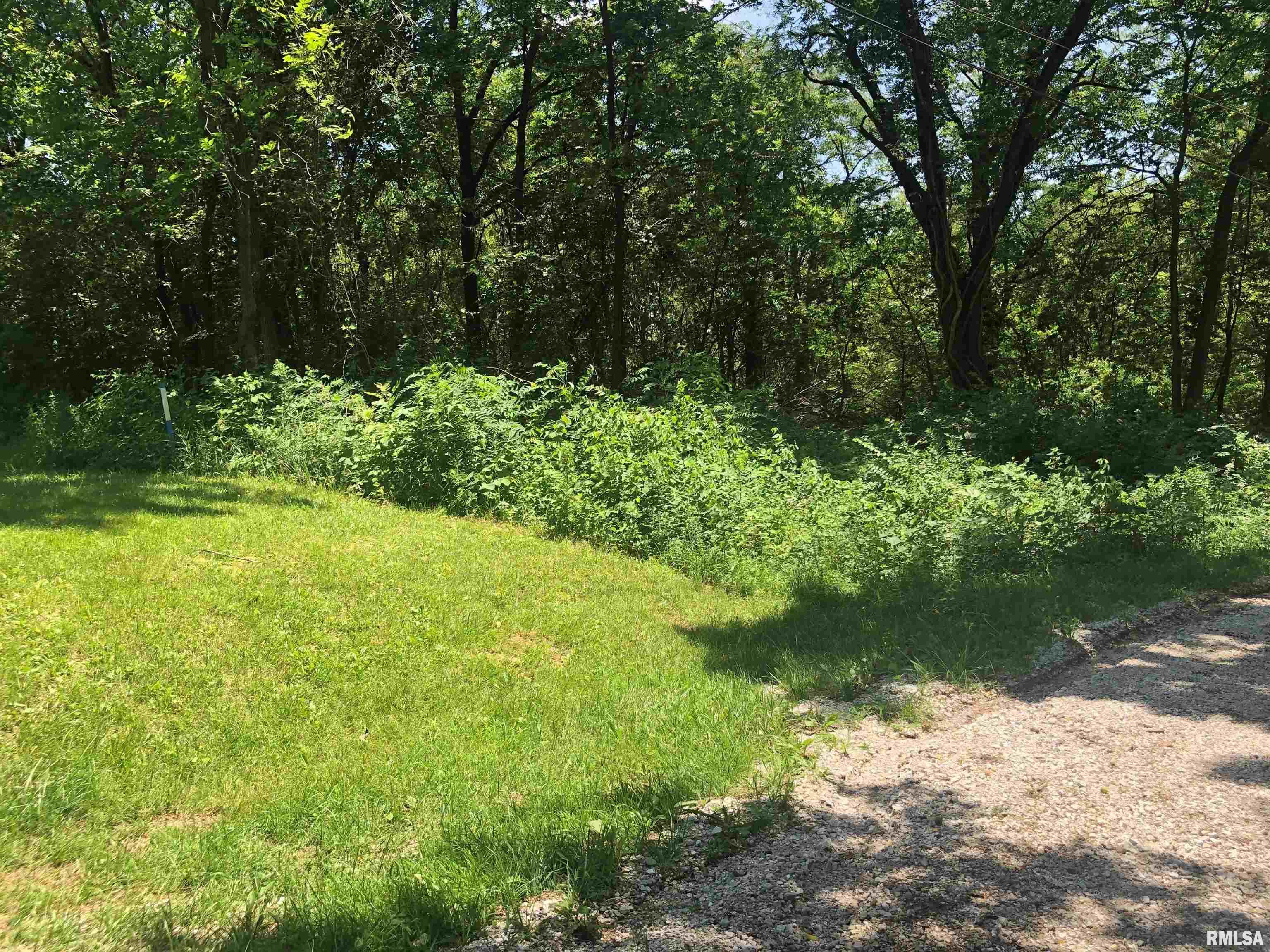 Lot 1 West McKee Road Peoria, IL 61607 - Photo 4 of 5
