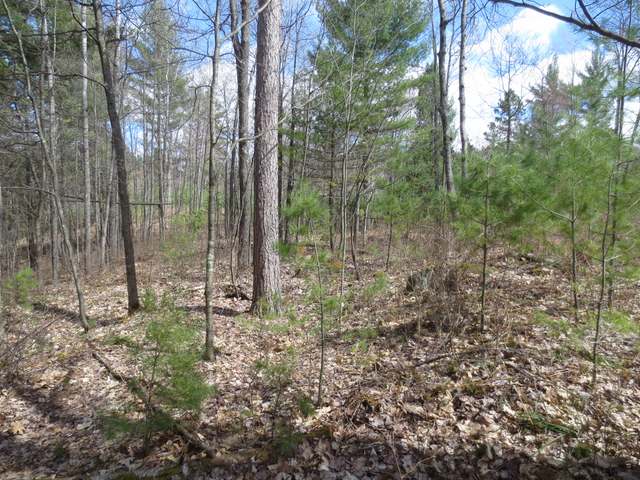 On Cedar Lane Rhinelander, WI 54501 - Photo 6 of 17 Gallery Image 6