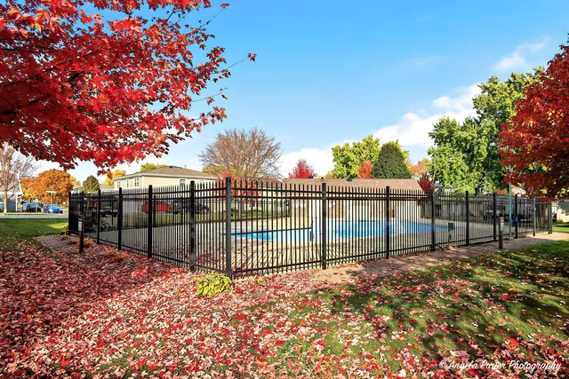 a view of a backyard with large trees and wooden fence