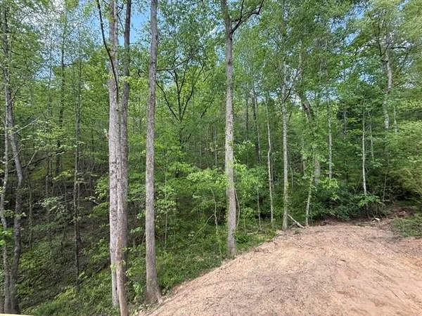 $500,000 | 48 Ithica Court, Jasper, GA 30143