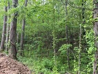 $500,000 | 48 Ithica Court, Jasper, GA 30143
