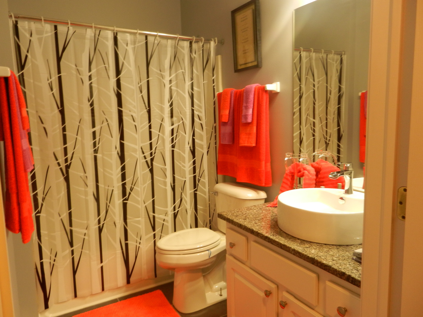 1581 Ludington Circle Romeoville, IL 60446 - Photo 14 of 23