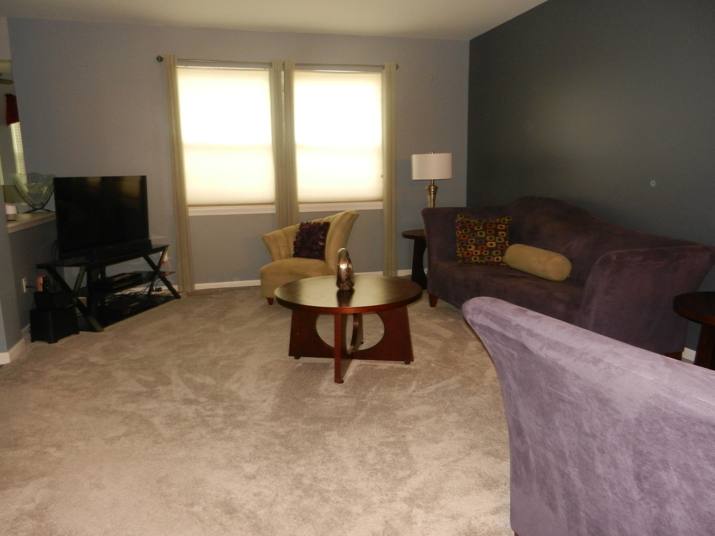 1581 Ludington Circle Romeoville, IL 60446 - Photo 6 of 23