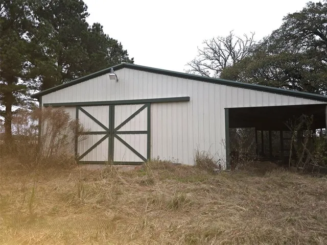 a view of backyard and tree
