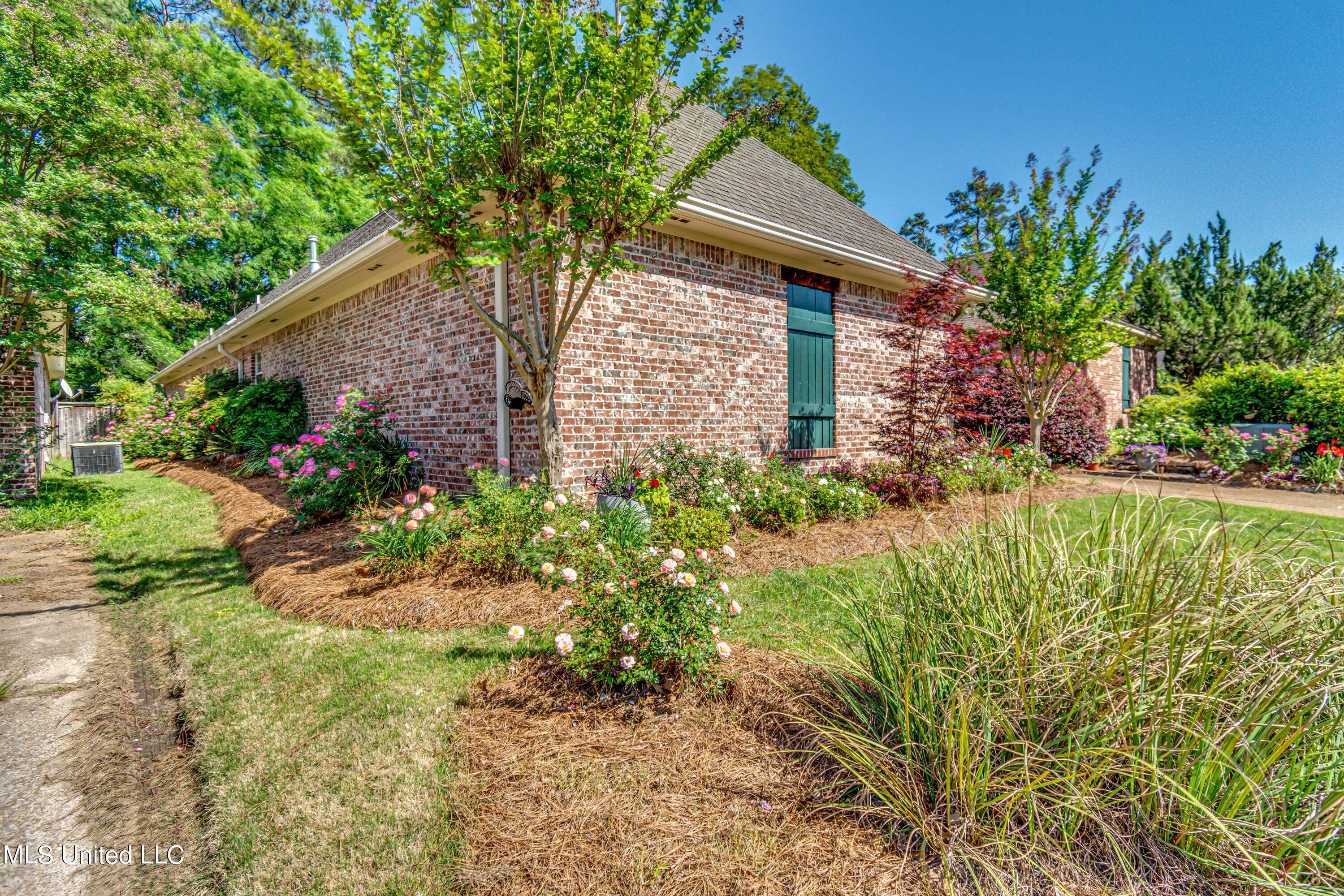 710 Versailles Drive Ridgeland, MS 39157 - Photo 4 of 49 710 Versaillas_-5