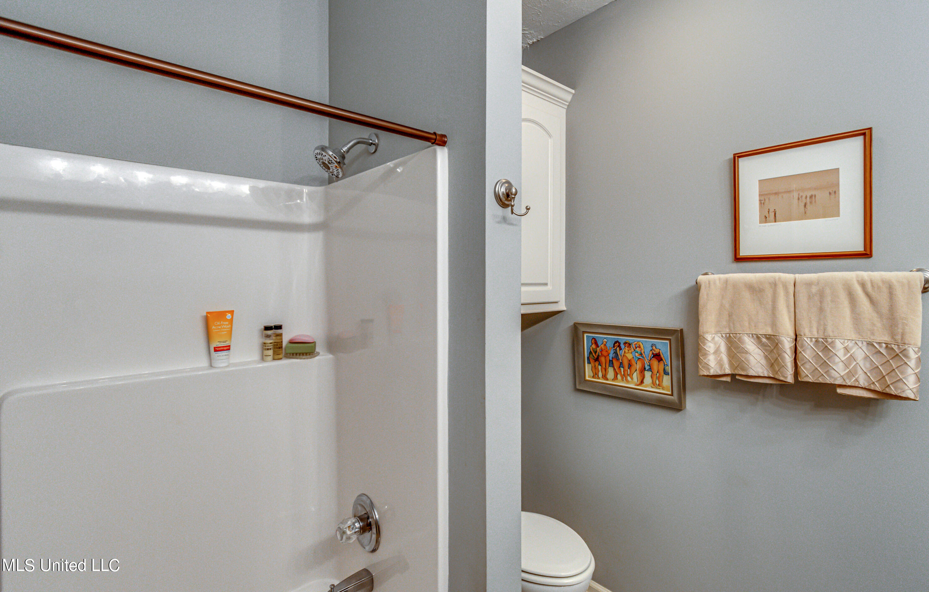 710 Versailles Drive Ridgeland, MS 39157 - Photo 41 of 49 710 Versaillas_-26