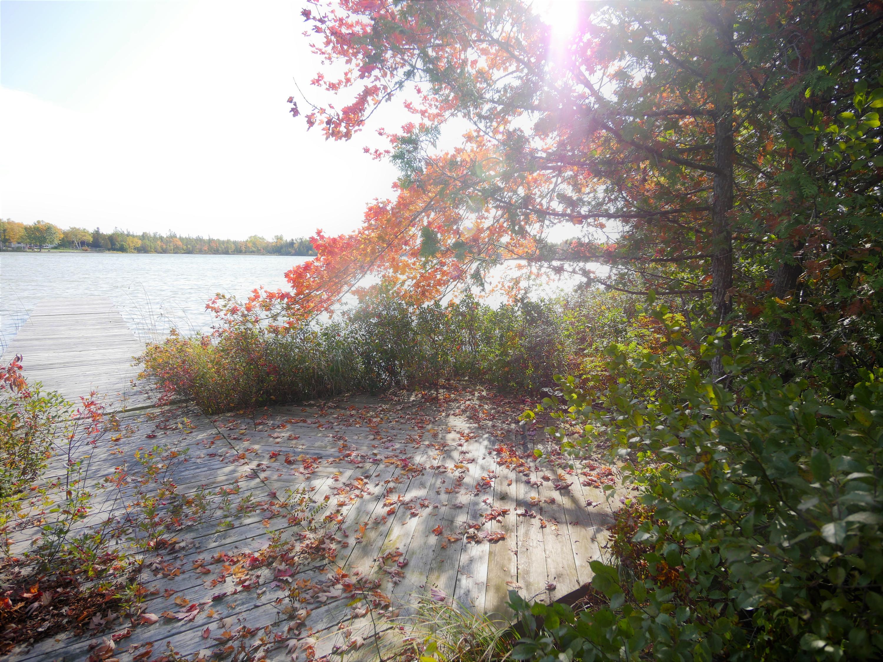 6237 Grand Point Road Presque Isle, MI 49777 - Photo 5 of 20 Gallery Image 5
