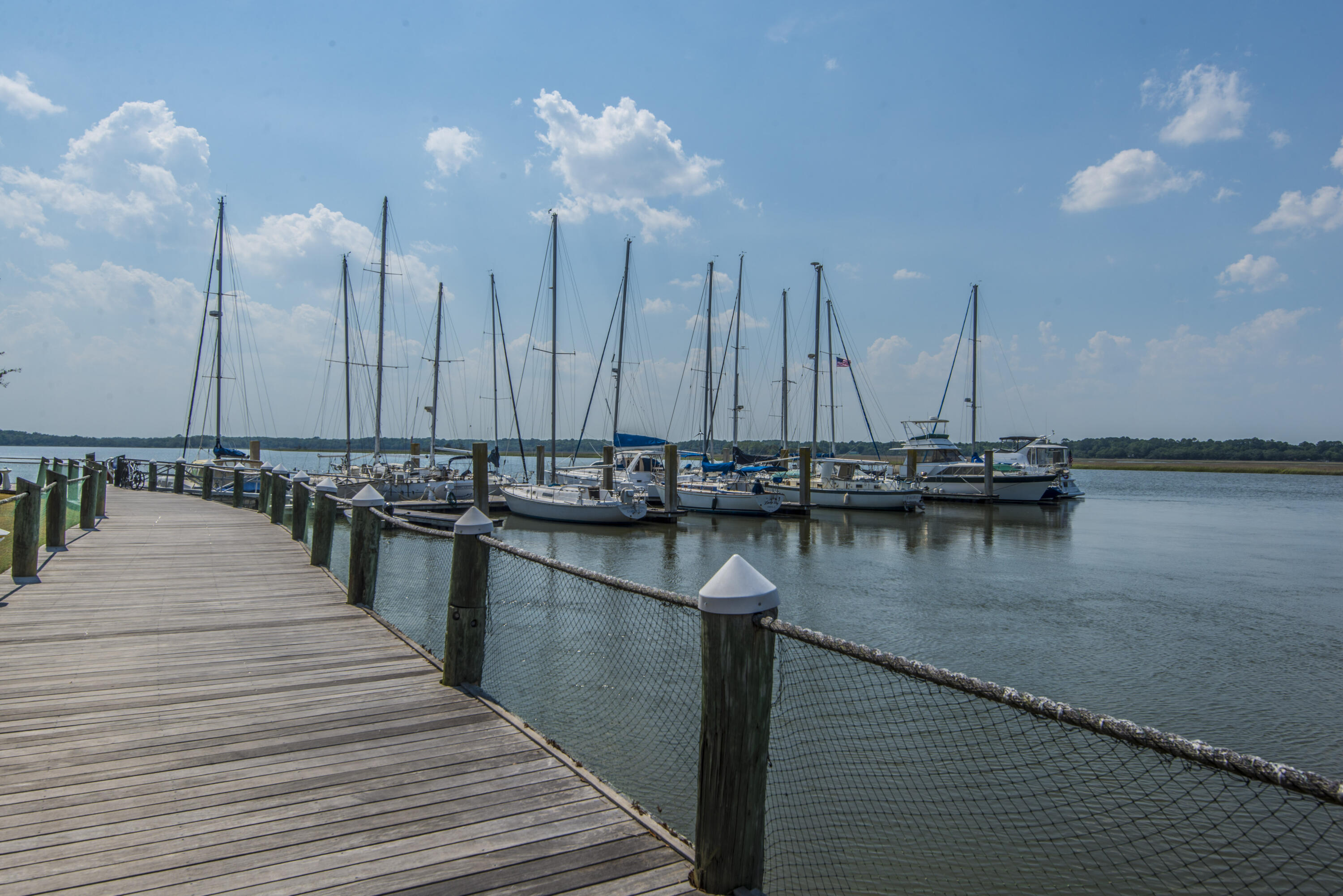 1959 Marsh Oak Lane Johns Island, SC 29455 - Photo 8 of 30 Docks
