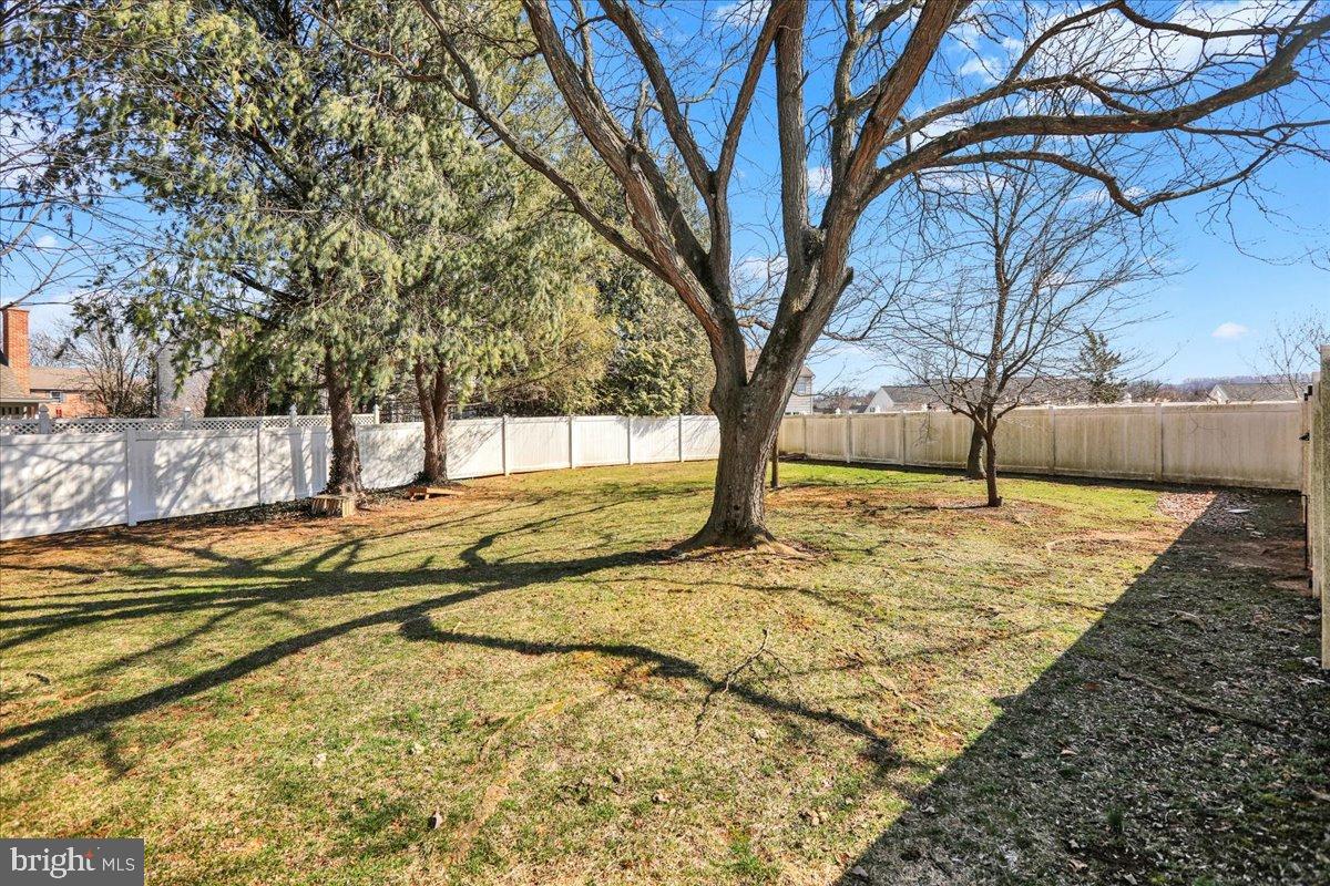 23 Laura Court Sinking Spring, PA 19608 - Photo 59 of 67 a view of yard with trees