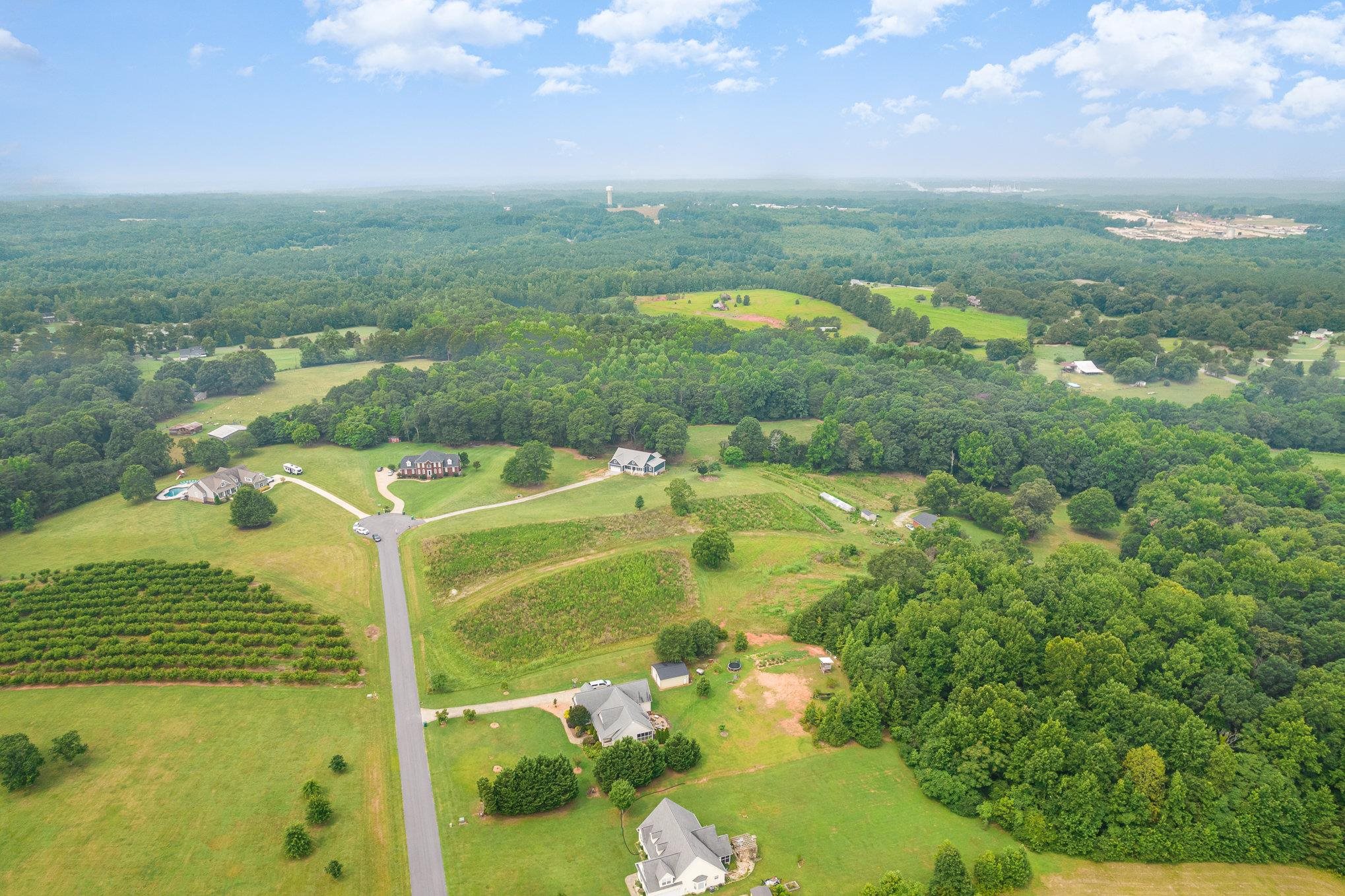 290 Louis Lane Cowpens, SC 29330 - Photo 33 of 35