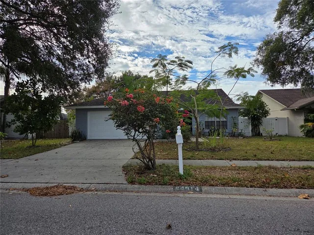 $2,000 | 24914 Silversmith Drive, Lutz, FL 33559