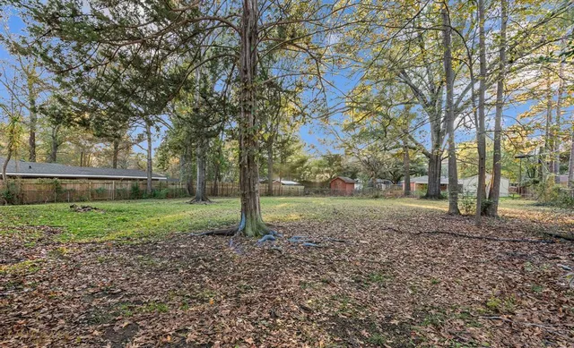 a view of a yard with tree s