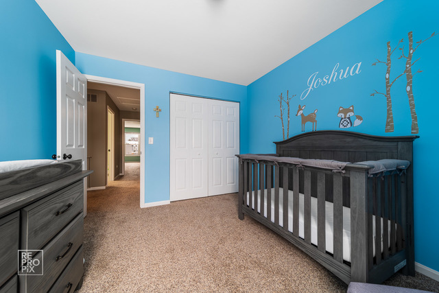 1145 John Drive Hoffman Estates, IL 60169 - Photo 18 of 24