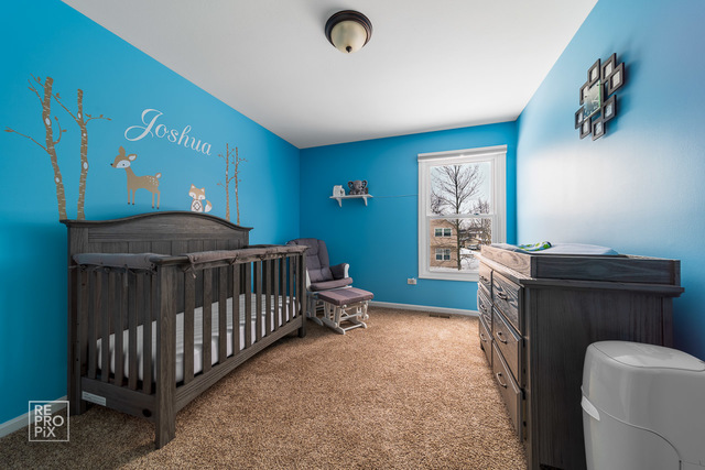 1145 John Drive Hoffman Estates, IL 60169 - Photo 19 of 24