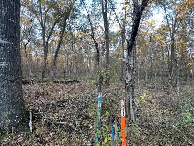 $125,000 | 1 County Road 354, Palestine, TX 75801