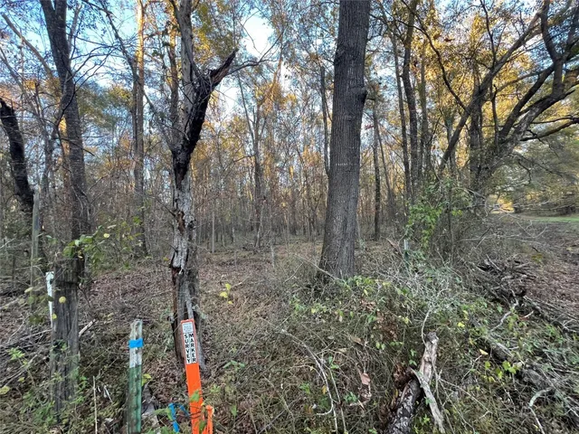 $125,000 | 1 County Road 354, Palestine, TX 75801