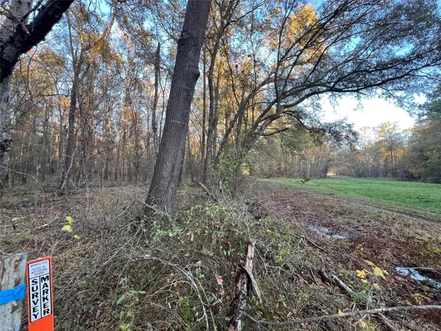 $125,000 | 1 County Road 354, Palestine, TX 75801