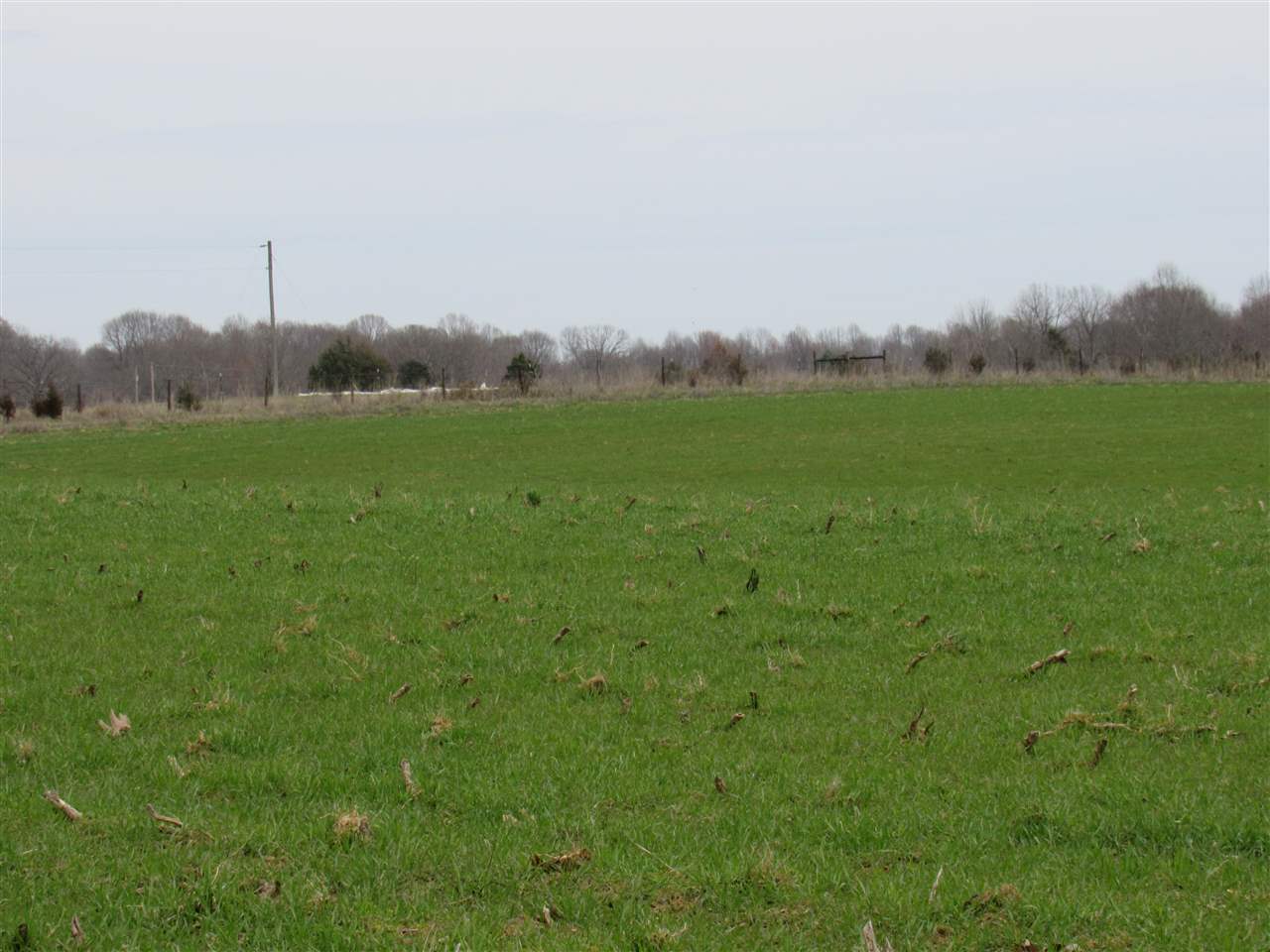 8000 Capitol Hill Road Fountain Run, KY 42133 - Photo 2 of 10 Gallery Image 2