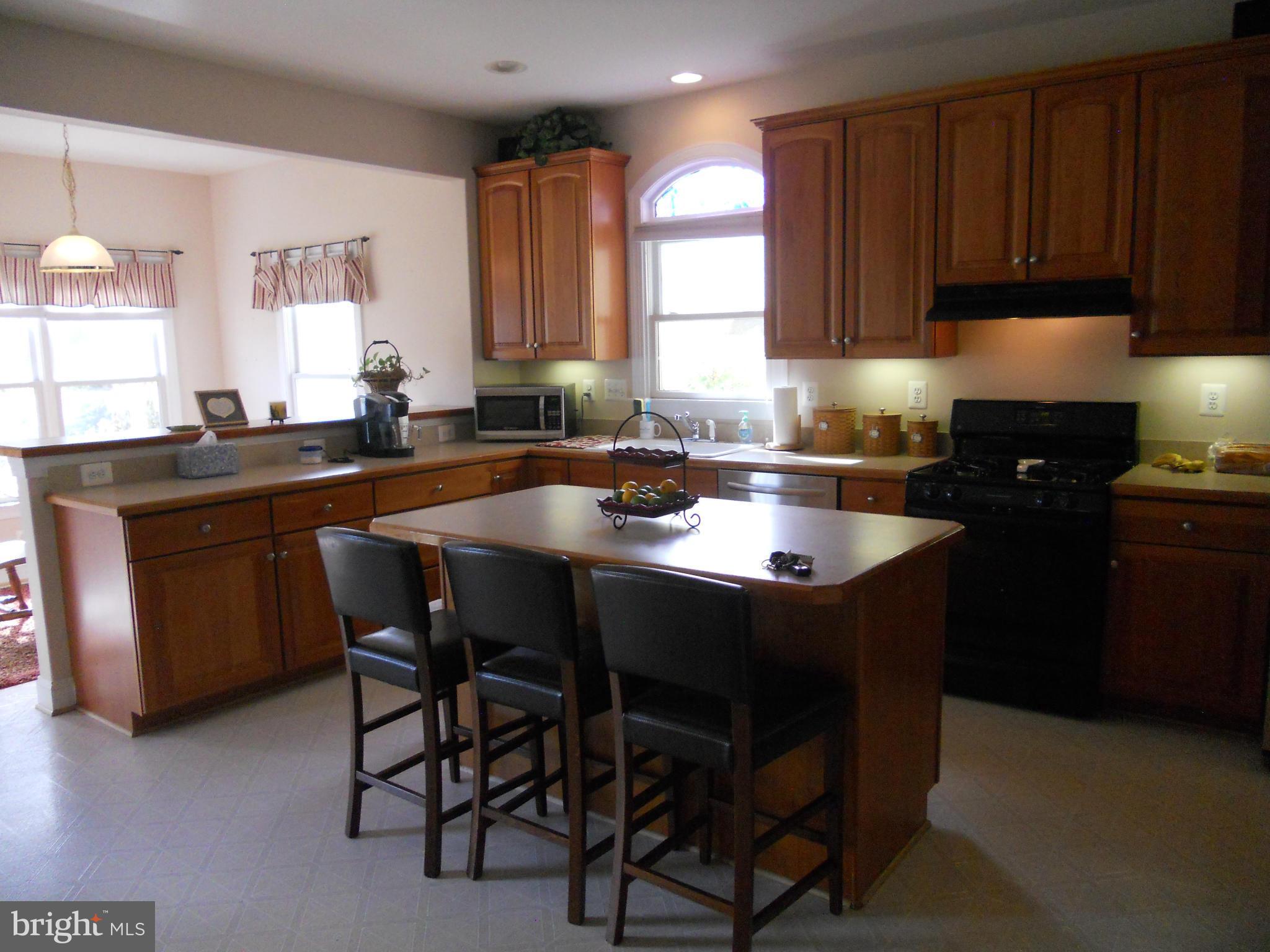 8833 Lew Wallace Road Frederick, MD 21704 - Photo 11 of 30 Kitchen