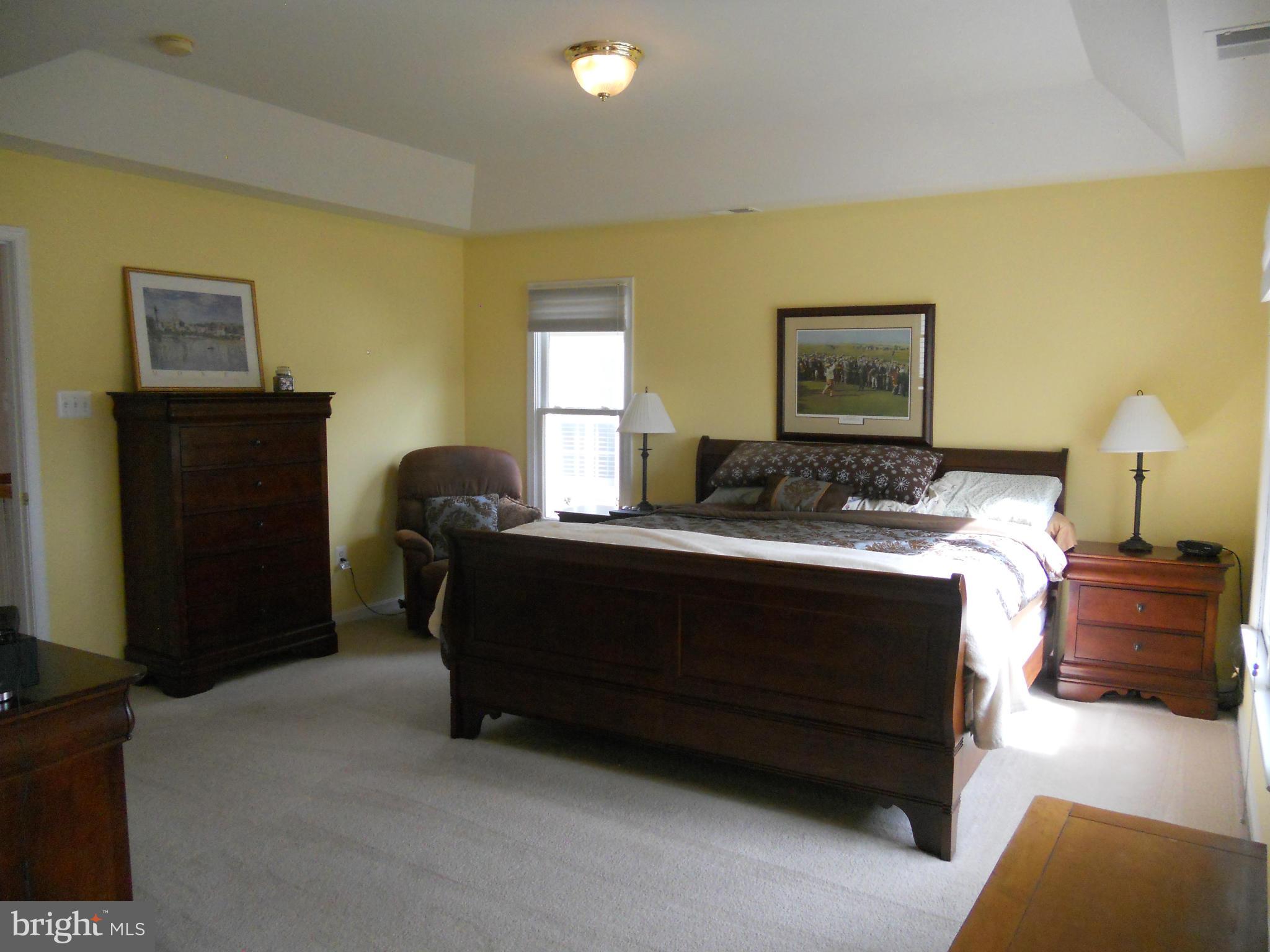8833 Lew Wallace Road Frederick, MD 21704 - Photo 19 of 30 Bedroom (Master)
