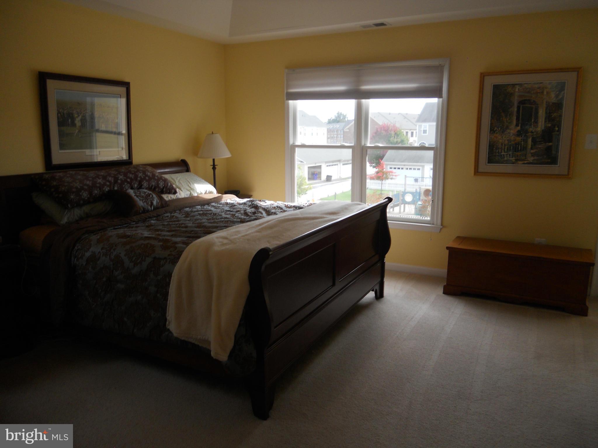 8833 Lew Wallace Road Frederick, MD 21704 - Photo 20 of 30 Bedroom (Master)