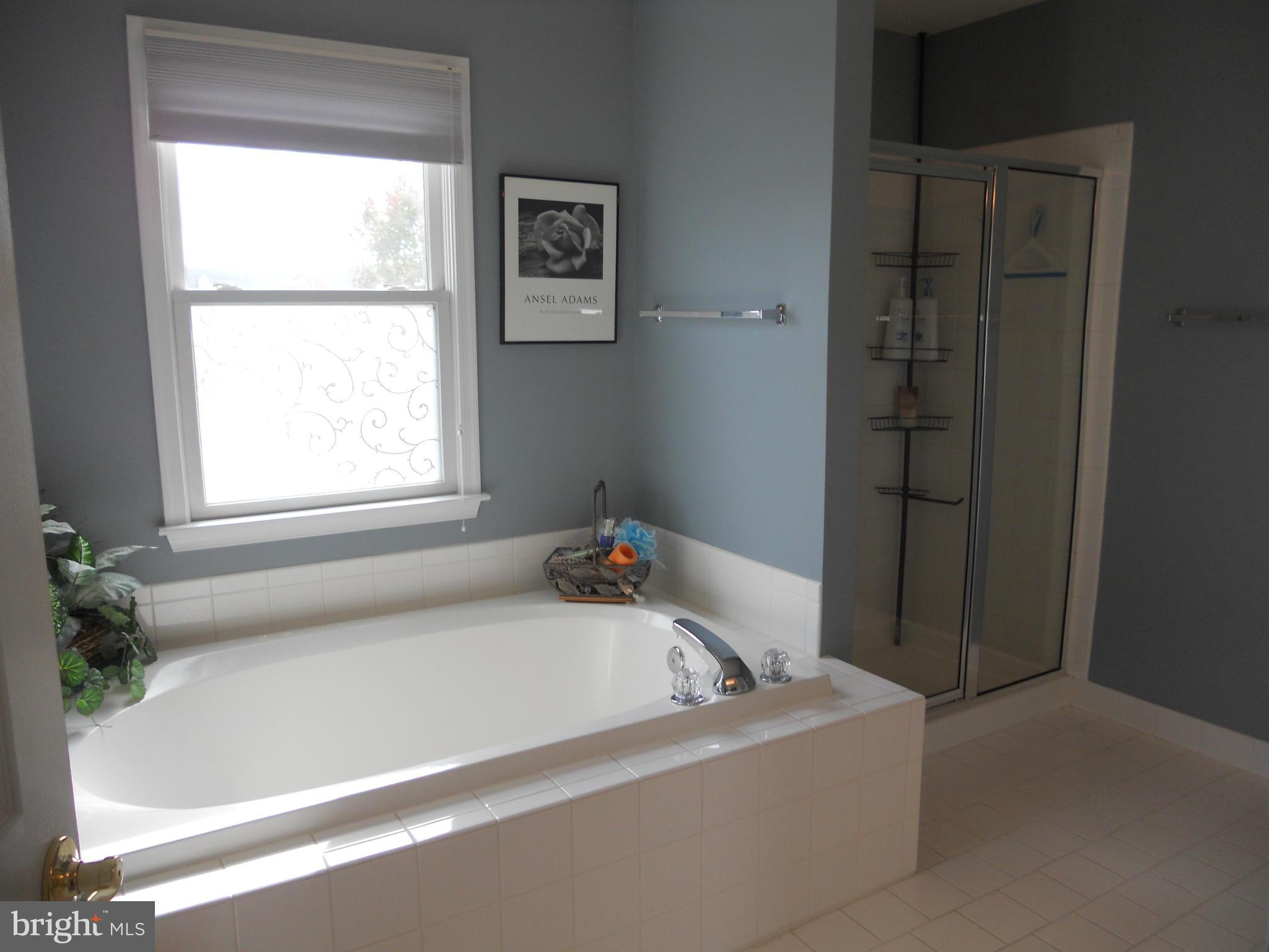 8833 Lew Wallace Road Frederick, MD 21704 - Photo 22 of 30 Bath (Master)