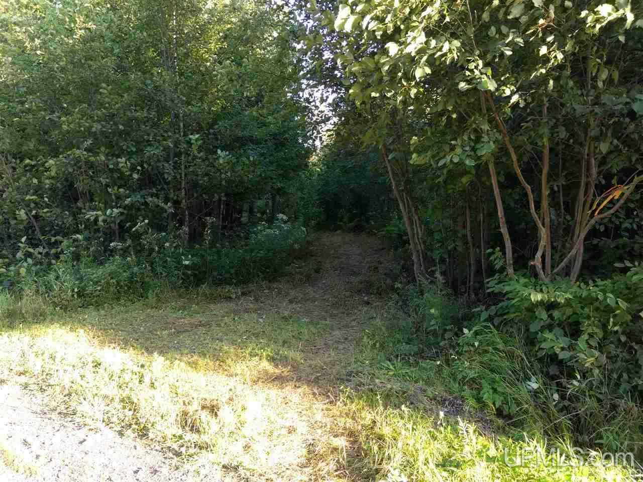 Tbd Sandstone B Road Lake Linden, MI 49945 - Photo 2 of 50