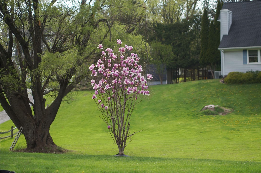 2 Stony Ridge Drive Mendon, NY 14472 - Photo 40 of 49