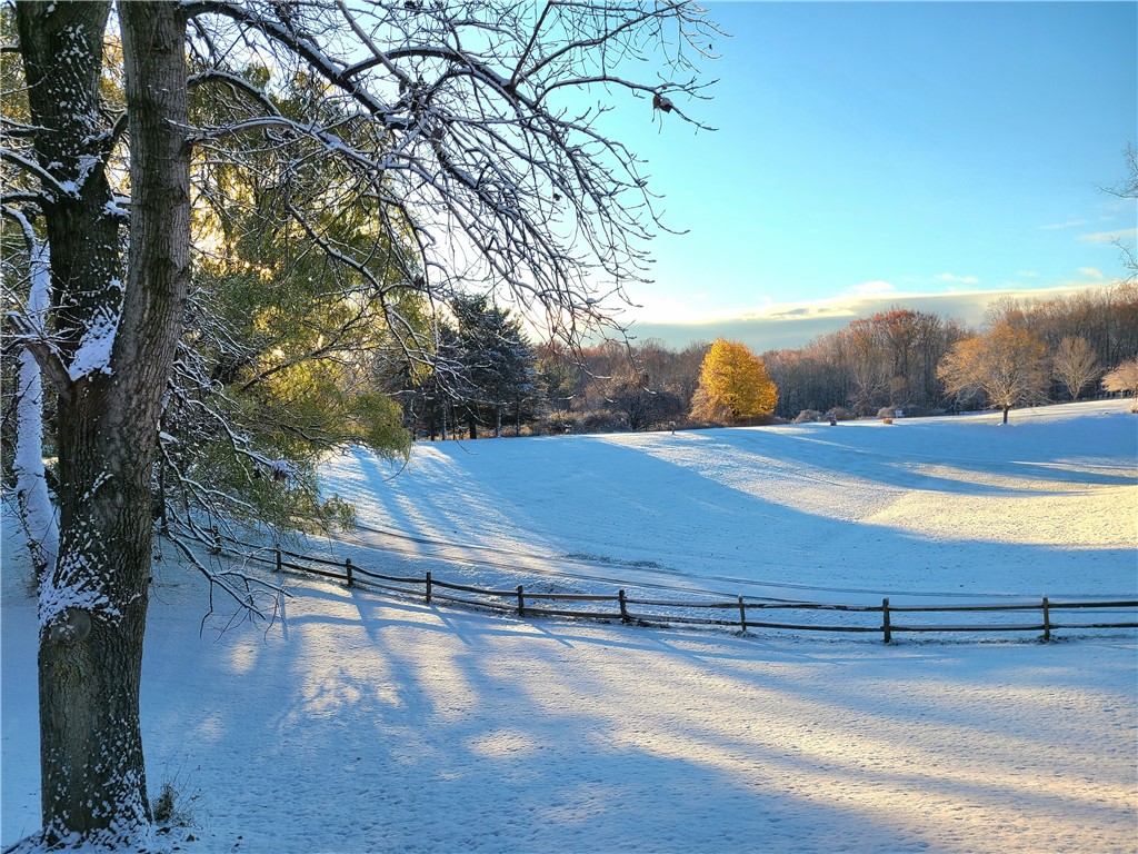 2 Stony Ridge Drive Mendon, NY 14472 - Photo 47 of 49