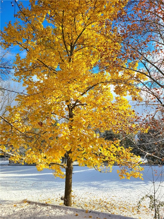 2 Stony Ridge Drive Mendon, NY 14472 - Photo 49 of 49