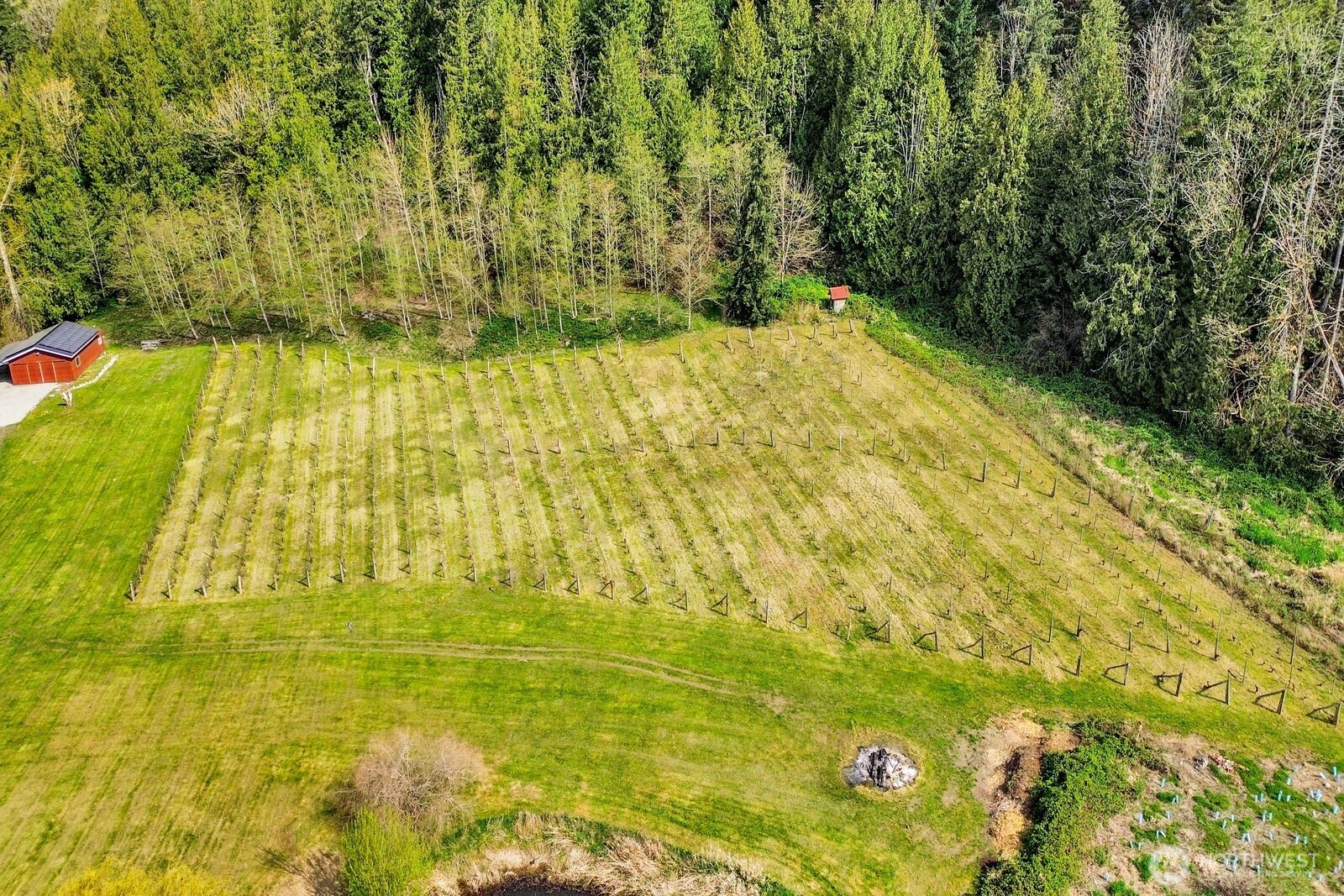 5560 Hillard Road Everson, WA 98247 - Photo 37 of 40