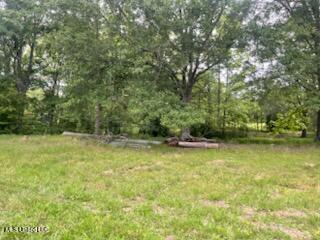 5376 Byhalia Road Hernando, MS 38632 - Photo 18 of 32 IMG_2090