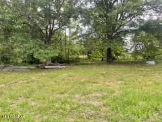 5376 Byhalia Road Hernando, MS 38632 - Photo 20 of 32 IMG_2088