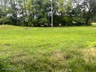 5376 Byhalia Road Hernando, MS 38632 - Photo 6 of 32 IMG_2108