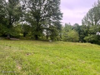 5376 Byhalia Road Hernando, MS 38632 - Photo 7 of 32 IMG_2109