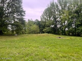 5376 Byhalia Road Hernando, MS 38632 - Photo 8 of 32 IMG_2110