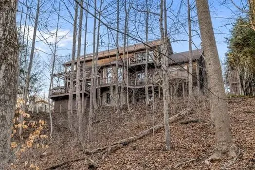 a view of a backyard with a large tree and a yard