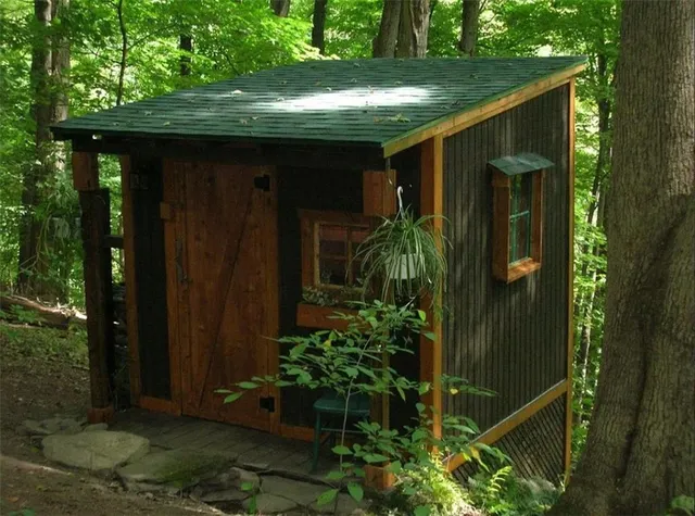 a view of a forest with trees