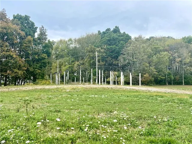 a view of a grassy field with trees in the background