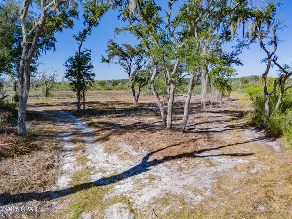 $33,999 | 0 Little Wages Road, Chipley, FL 32428